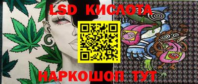 наркотики Новозыбков