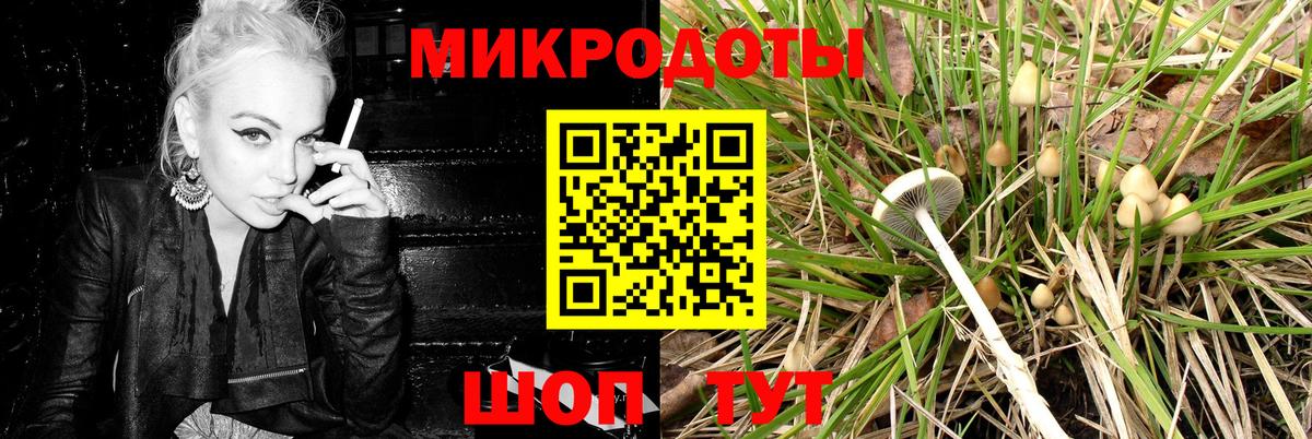 Псилоцибиновые грибы Cubensis  Вход с VPN  Галлюциногенные грибы мухоморы  Геленджик 